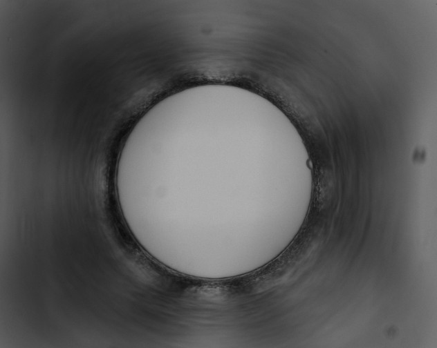 X0000102850639200809081244