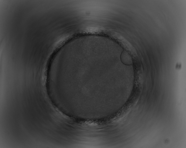 X0000102850640200809081244