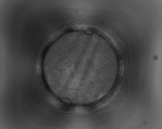 X0000102850641200809081244