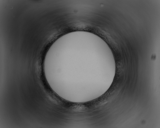 X0000102850642200809081244