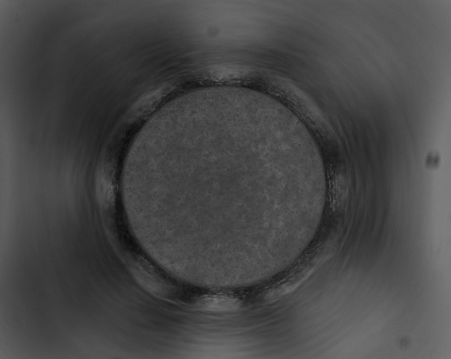 X0000102850644200809081244