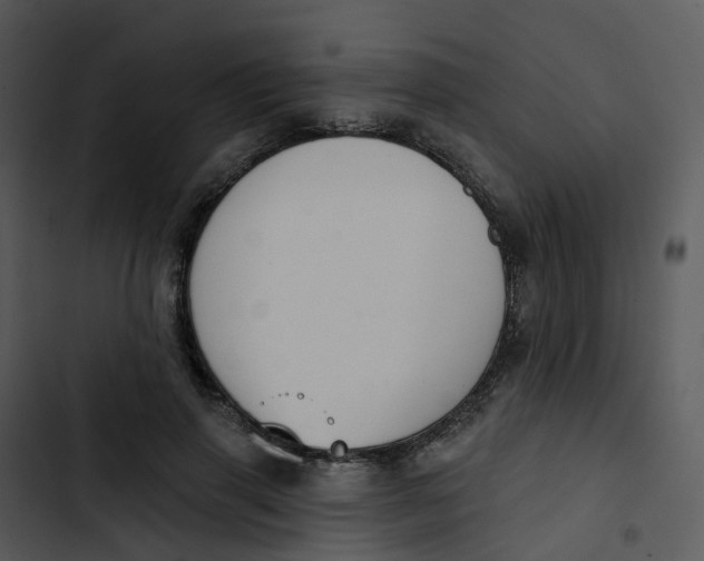 X0000102850645200809081244