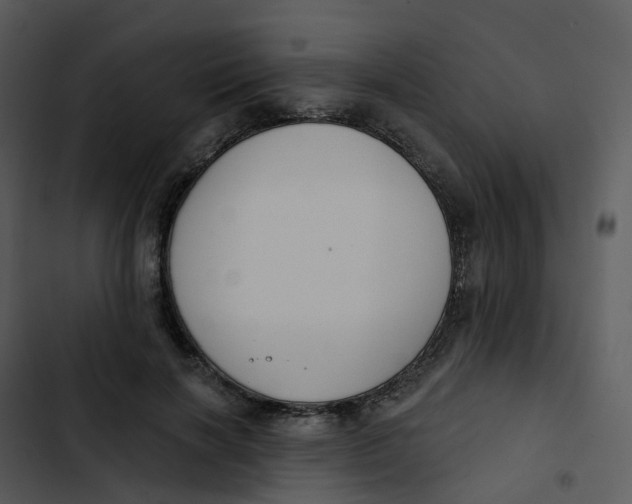 X0000102850646200809081244