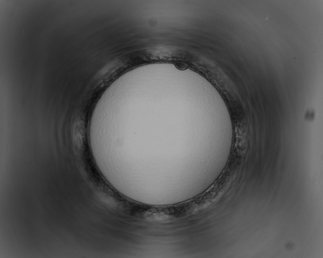 X0000102850648200809081244