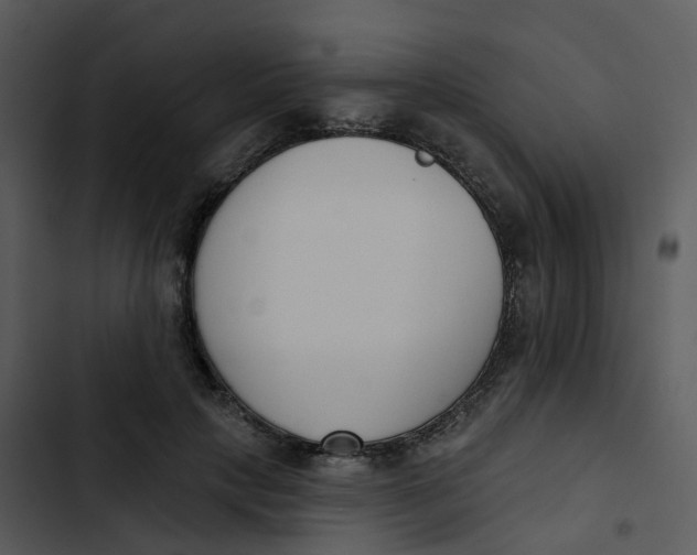 X0000102850649200809081244