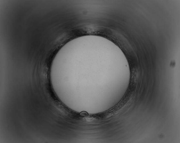 X0000102850650200809081244