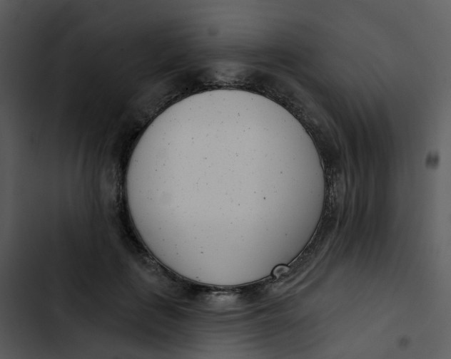 X0000102850651200809081244