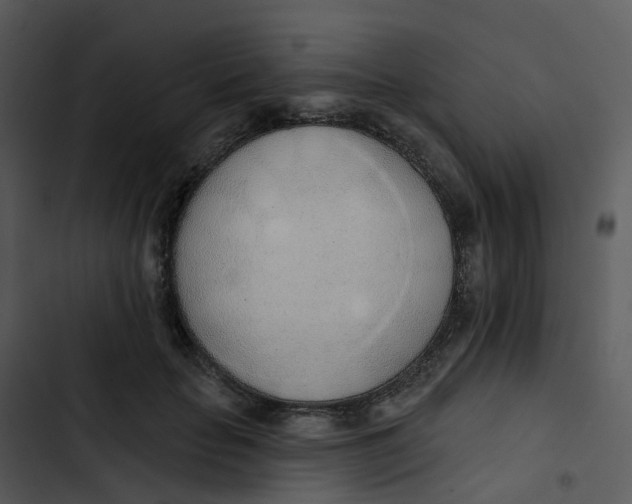 X0000102850653200809081245