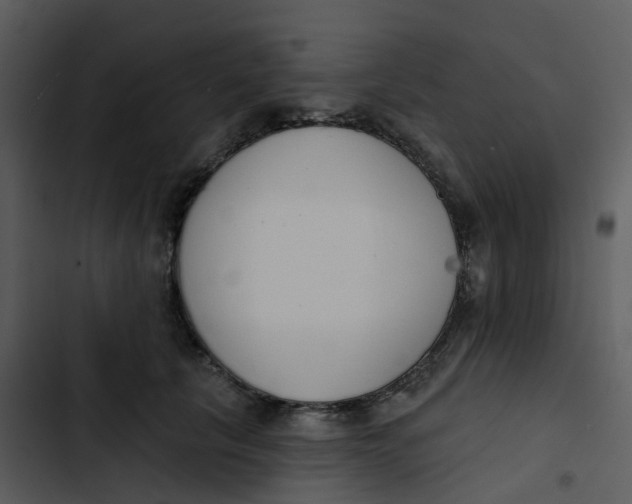 X0000102850657200809081245