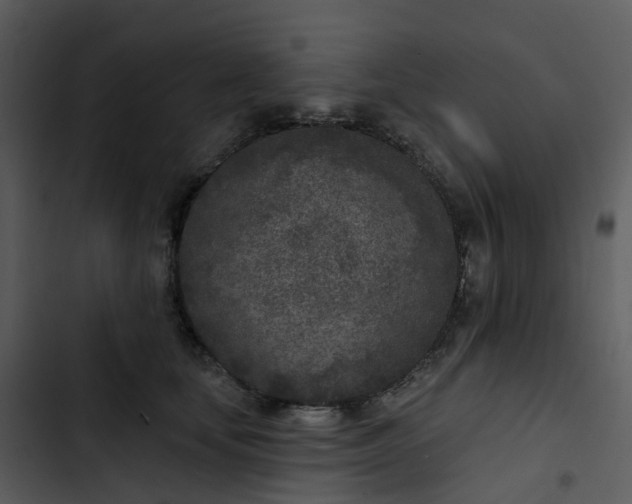 X0000102850659200809081245