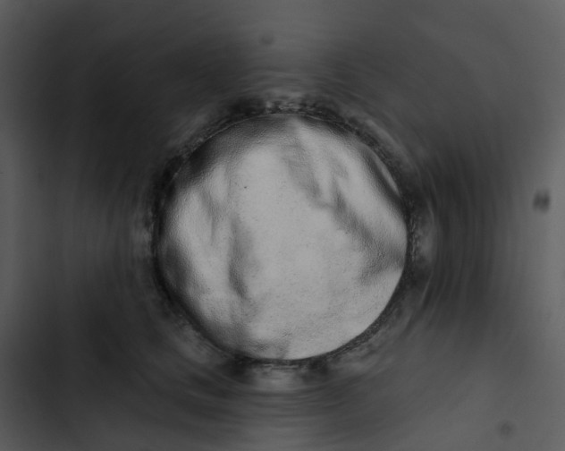 X0000102850661200809081245