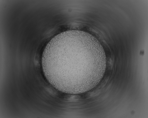 X0000102850663200809081245