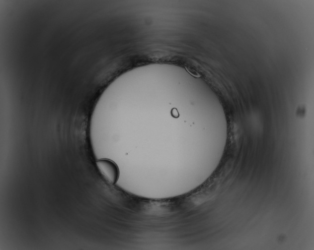 X0000102850664200809081245