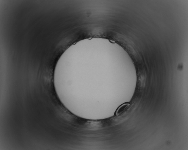 X0000102850665200809081245