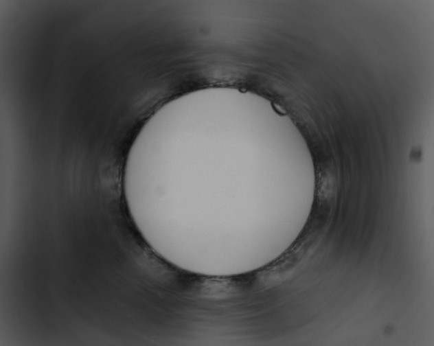 X0000102850666200809081245