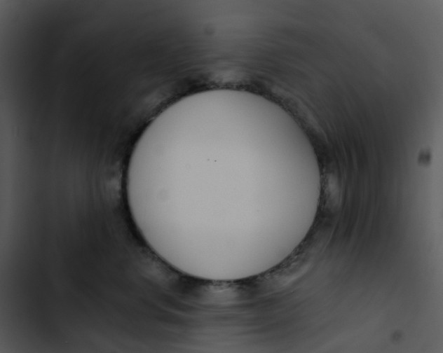 X0000102850668200809081245