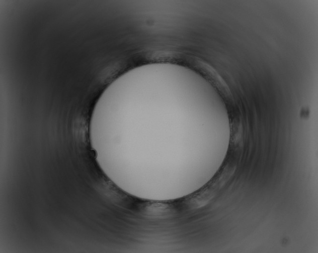 X0000102850669200809081245