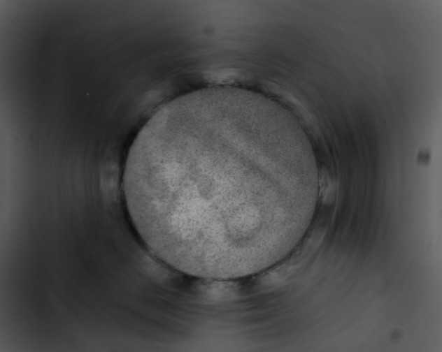 X0000102850670200809081245