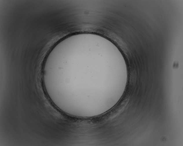 X0000102850673200809081244