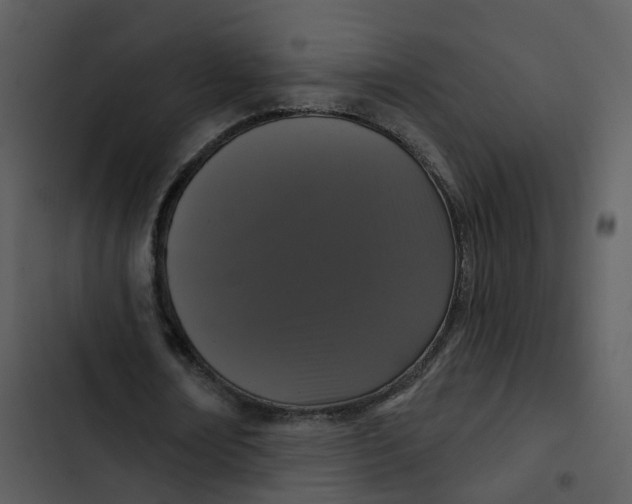 X0000102850674200809081244