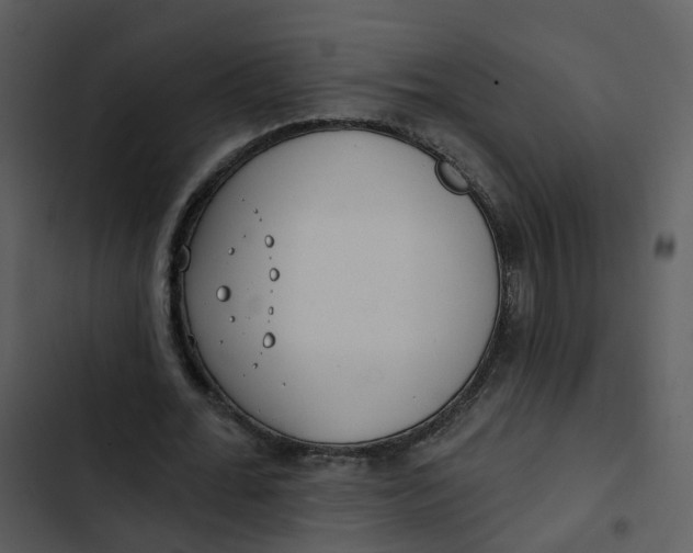 X0000102850676200809081244