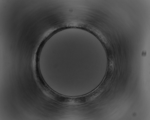 X0000102850678200809081244