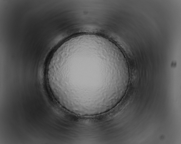 X0000102850679200809081244