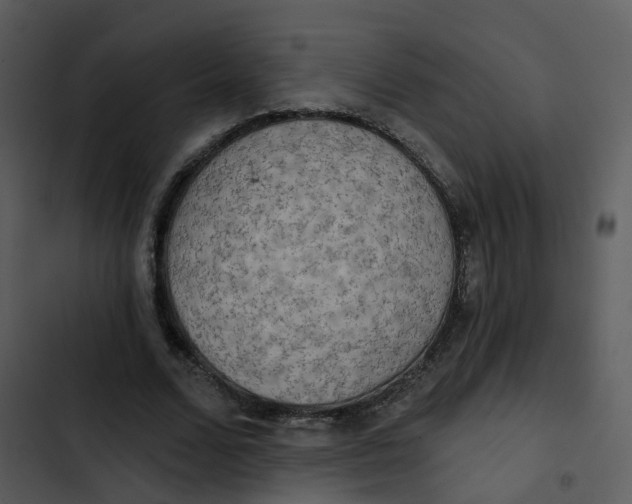 X0000102850680200809081244