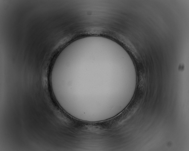 X0000102850681200809081244