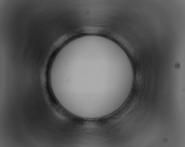 X0000102850682200809081244