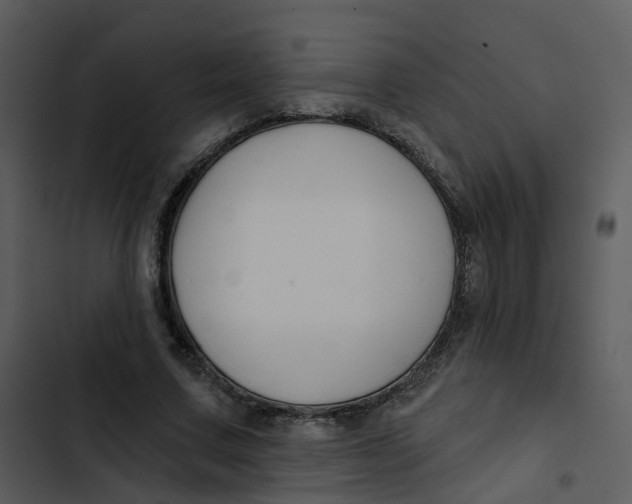 X0000102850683200809081244