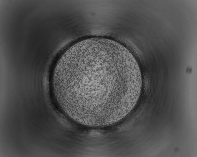 X0000102850684200809081244