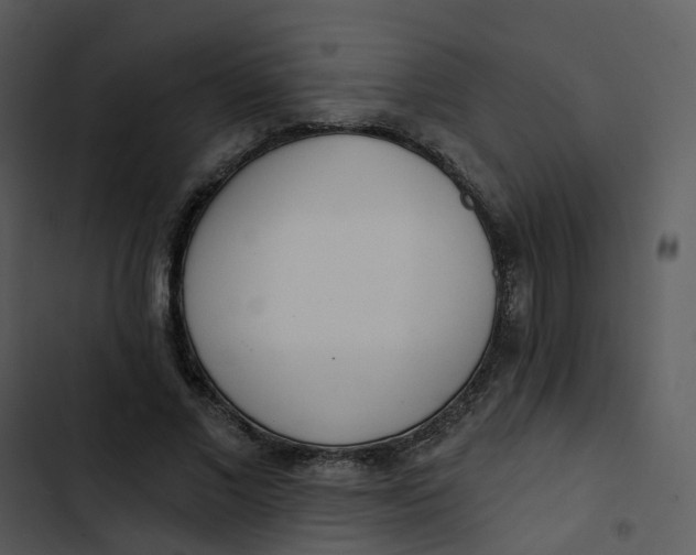 X0000102850685200809081244