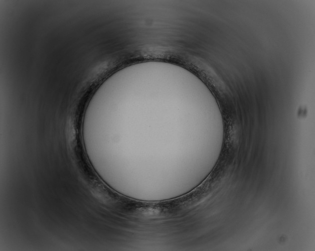 X0000102850687200809081244