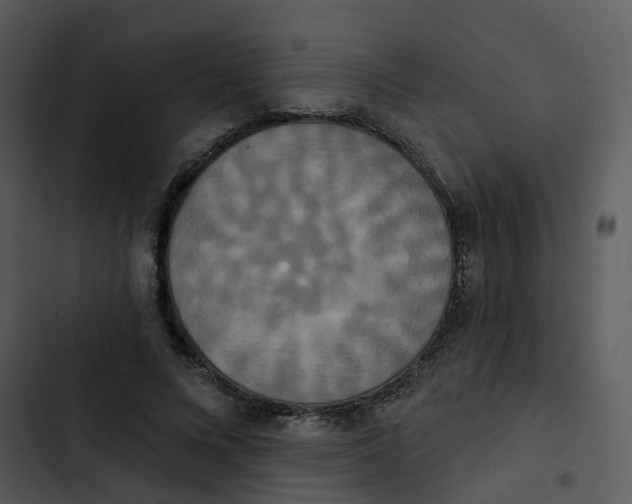 X0000102850688200809081244