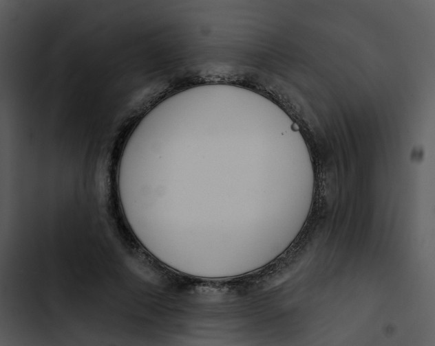 X0000102850690200809081244