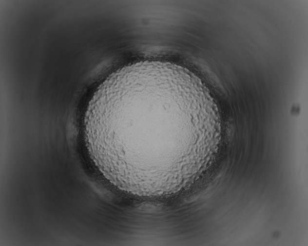 X0000102850691200809081244