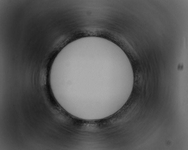 X0000102850694200809081244