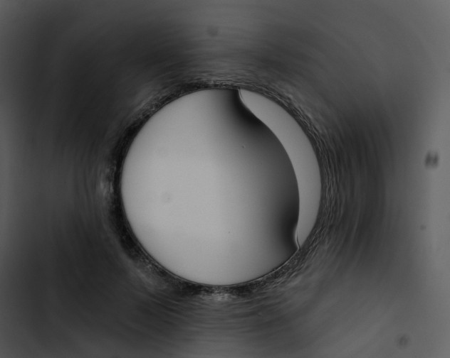 X0000102850695200809081244