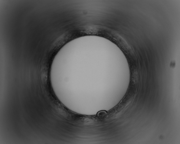 X0000102850697200809081244