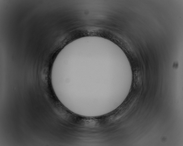 X0000102850698200809081244