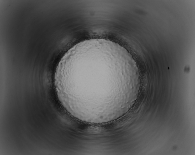 X0000102850699200809081244