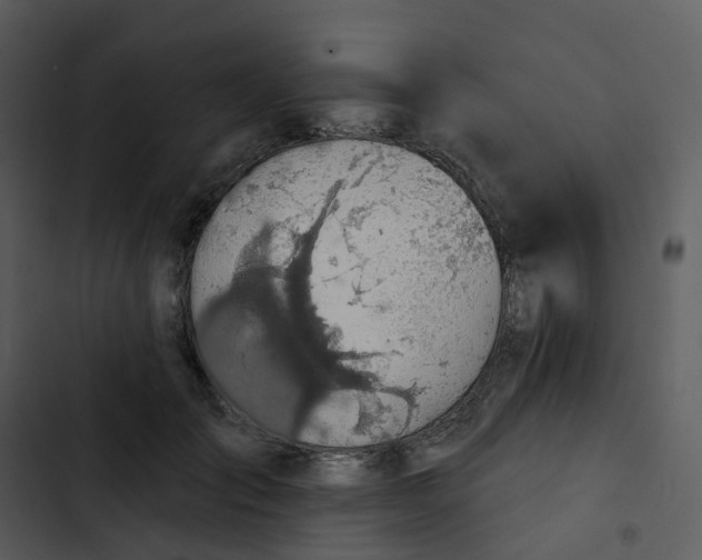 X0000102850701200809081244