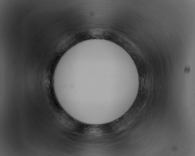 X0000102850702200809081244