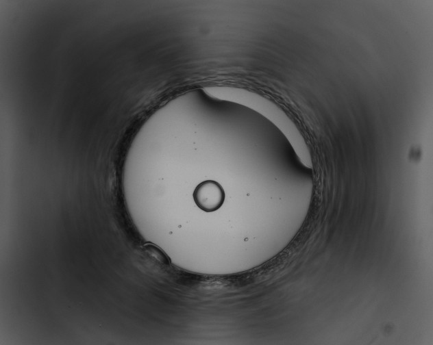 X0000102850704200809081244