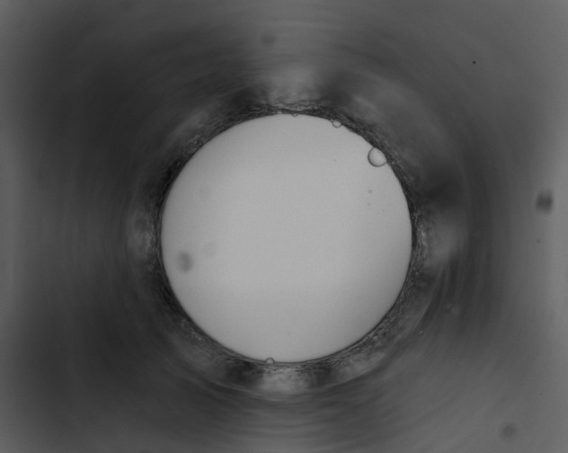 X0000102850705200809081244