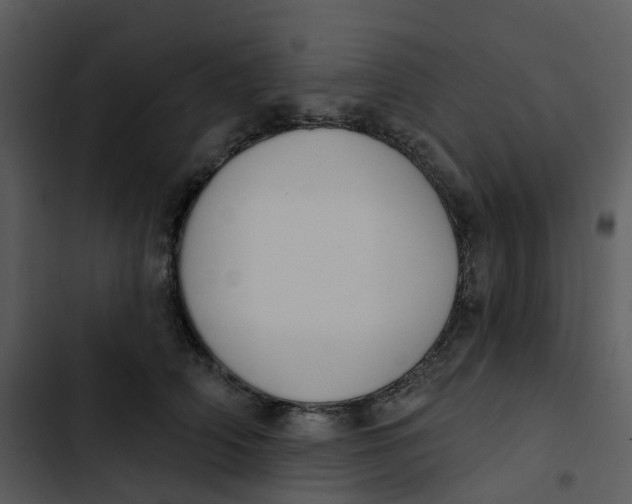 X0000102850706200809081243