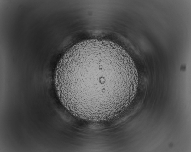 X0000102850707200809081243