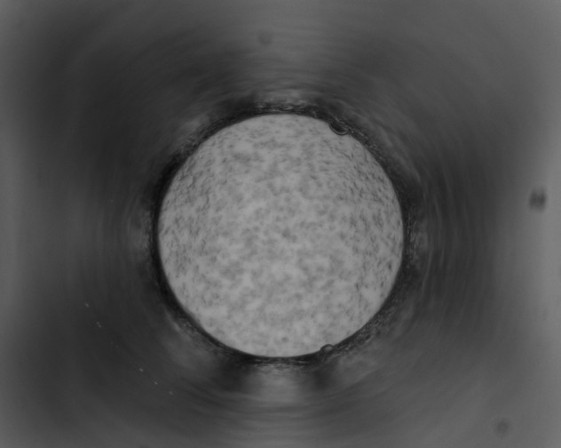 X0000102850708200809081243