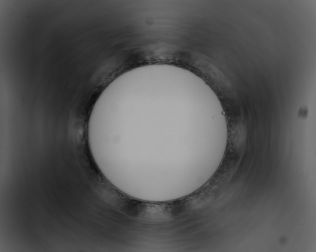 X0000102850709200809081243